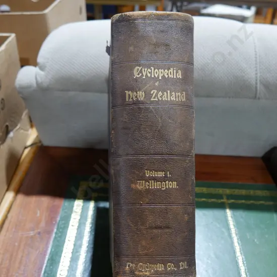 Cyclopaedia of New Zealand V.1 Wellington
