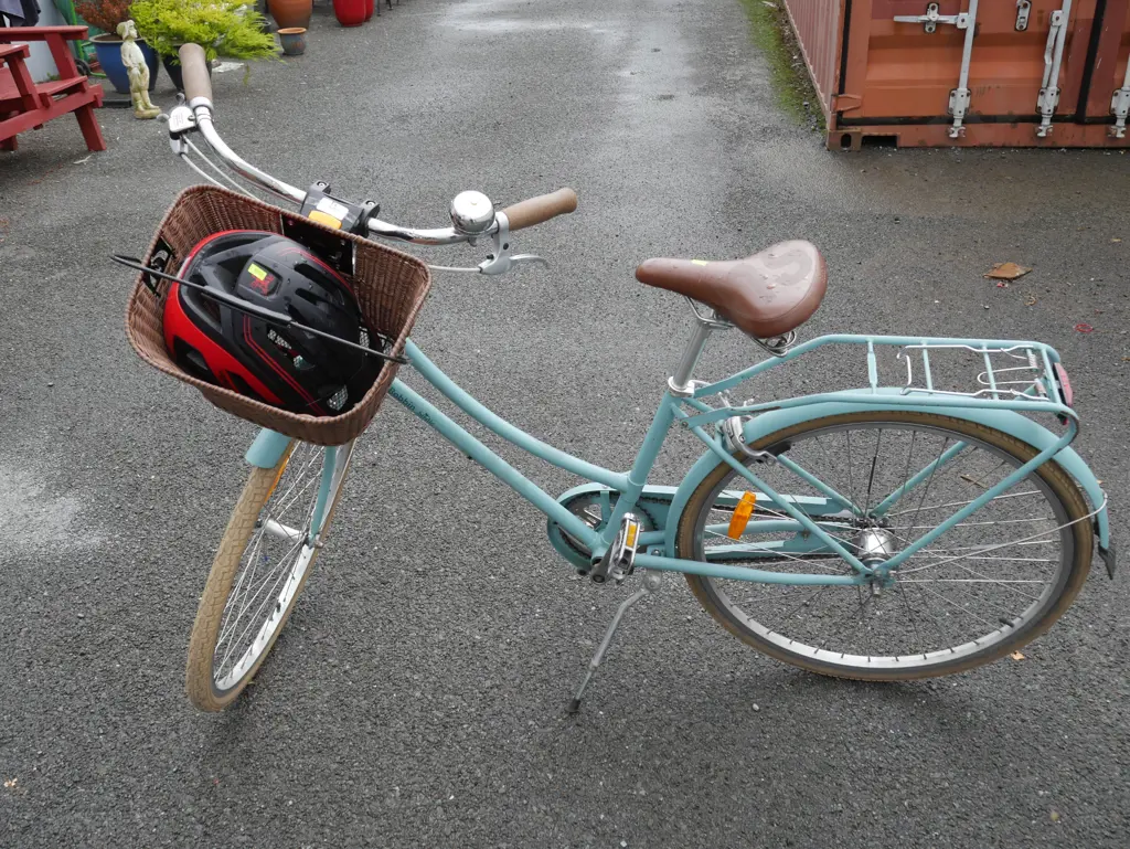 Bobbin birdie ladies push bike Image 1++