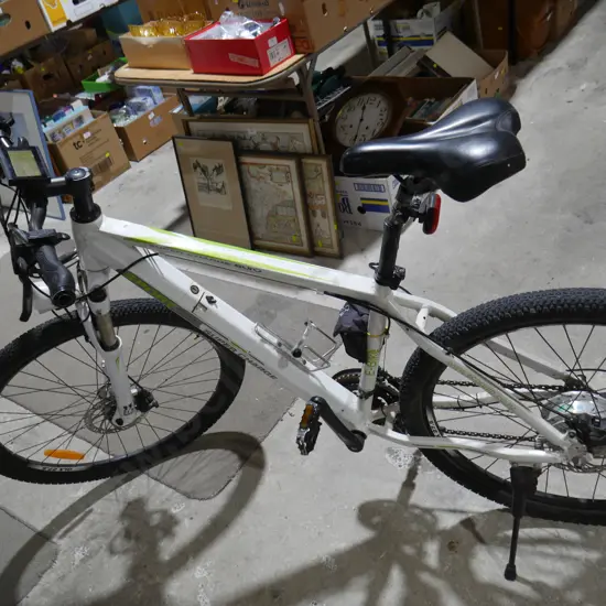 Super charge sport electric mountain bike