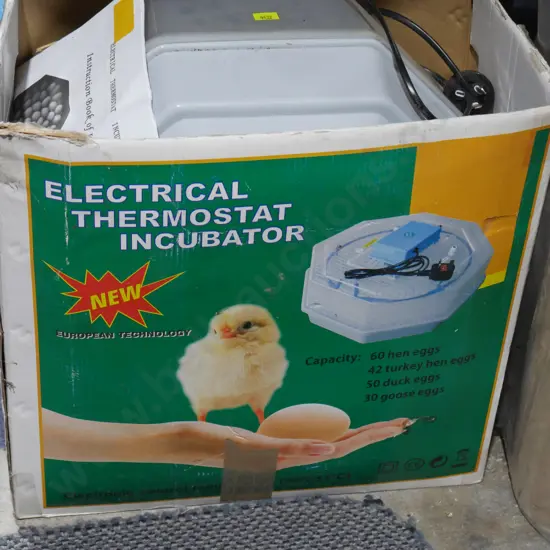 Electrical thermostat incubator