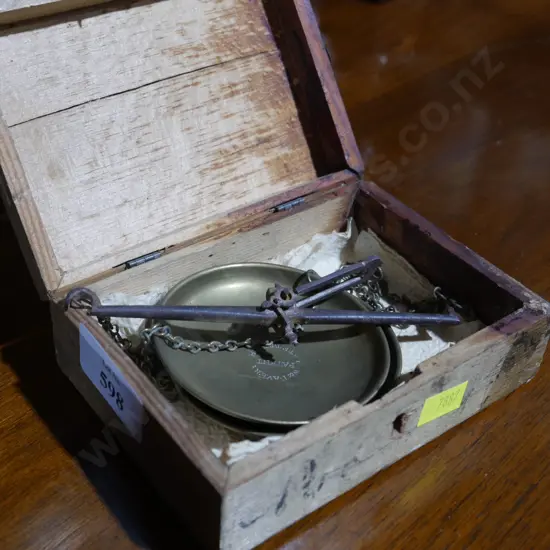 Cased balance scales