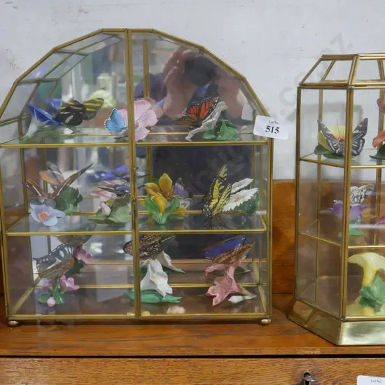 Butterflies in 2 display cases