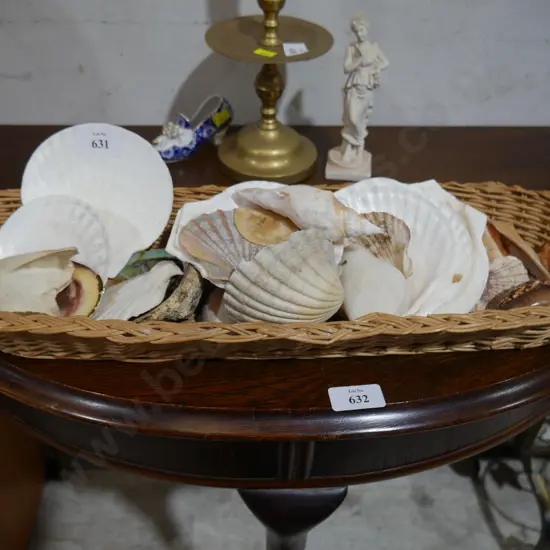 Seashells in cane basket