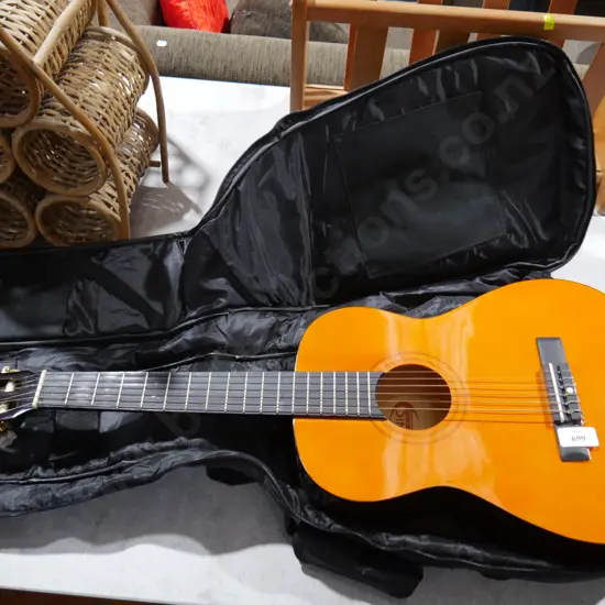 Sonic guitar, case and accessories