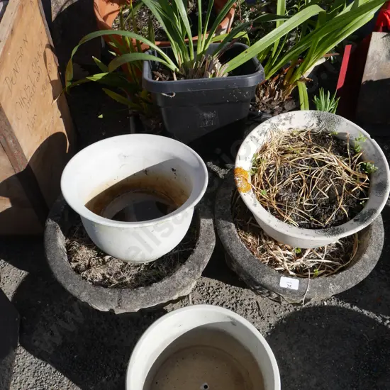 10 assorted plant pots/potted plants