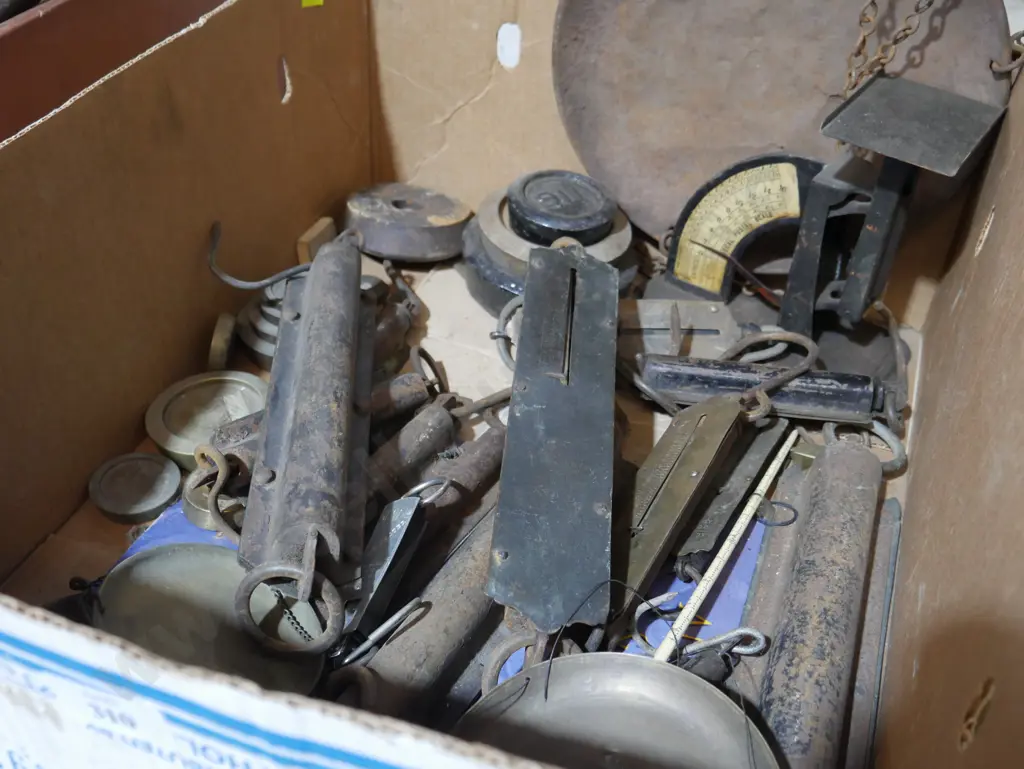 Scales weights Image 1++