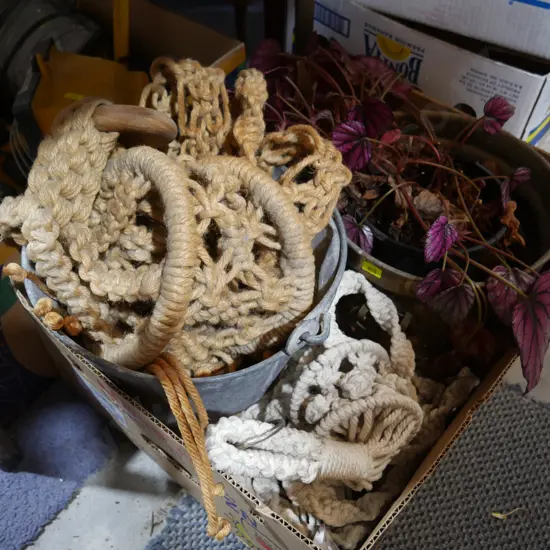 Macrame plant hangers etc