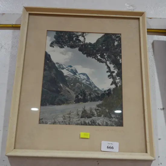 Framed Hollyford picture