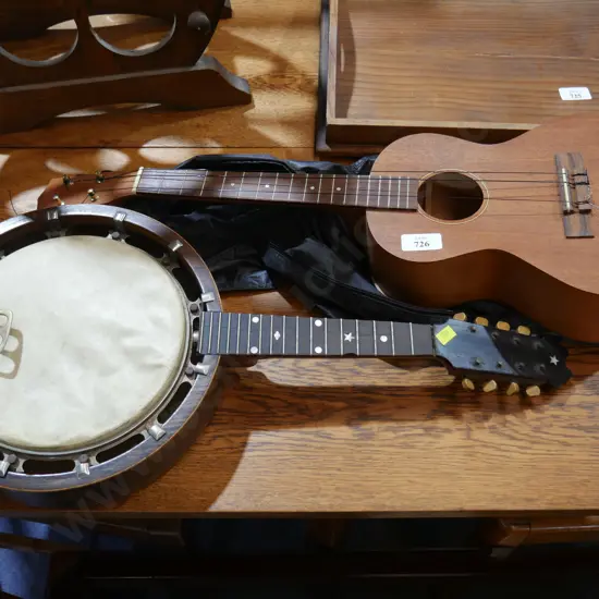 Ukelele and ornamental instrument