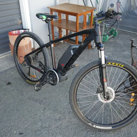 Electric mountain bike