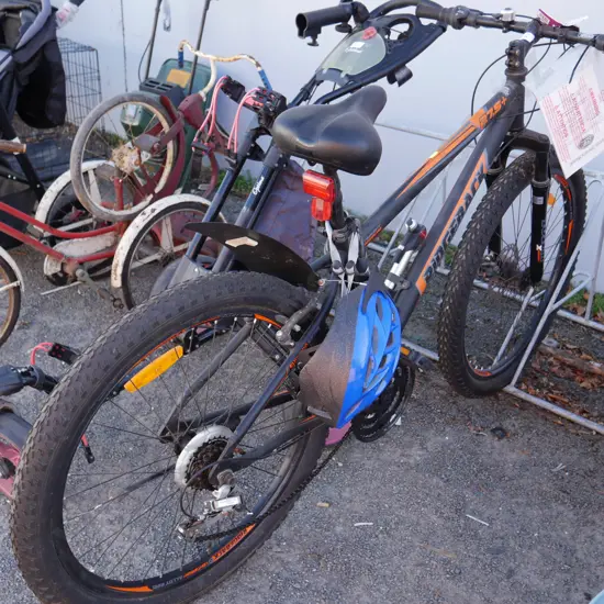 Ridgeback mountain bike