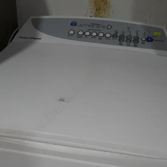 Fisher and Paykel washing machine