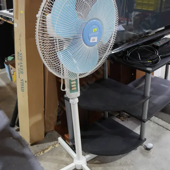 Goldair fan