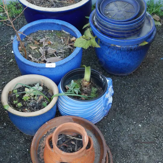 Plant pots