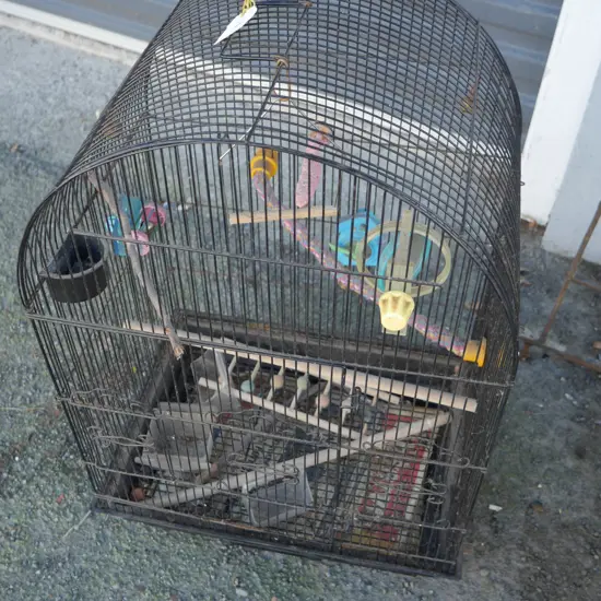 Bird cage